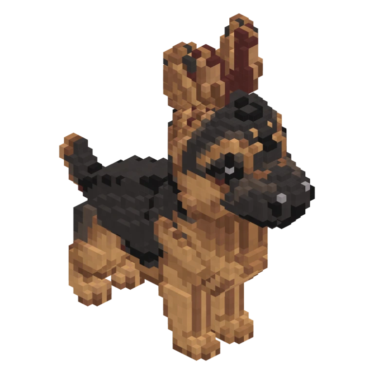 German Shepherd